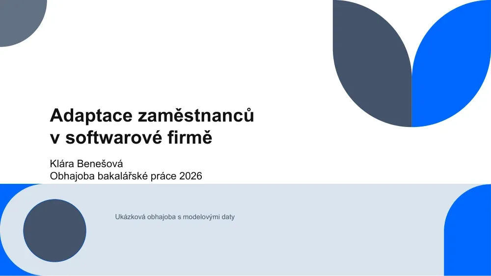 Náhled: Prezentace k obhajobě 3